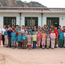 Plants: image 2 0f 4 thumb