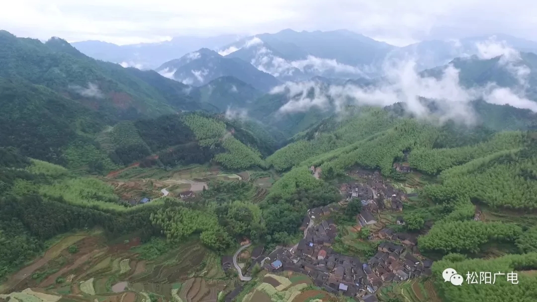 1587369184105496.jpg 640.webp.jpg