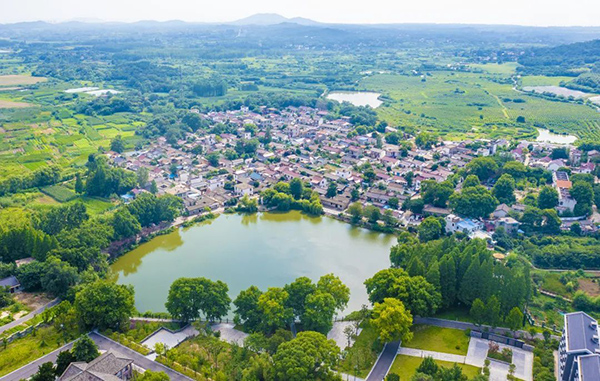 1691579180941476.jpg 536ec982aea74fb89164c52e5face4fd.jpg